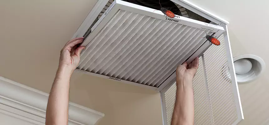 Preventive Cockroach-Proofing for Ducts in Carrollton