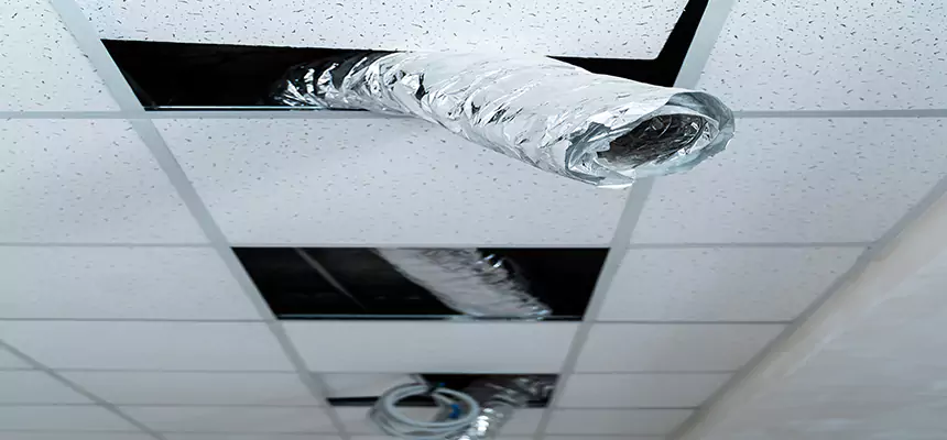 Our Air Duct Pet Hair Removal Services in Carrollton, TX