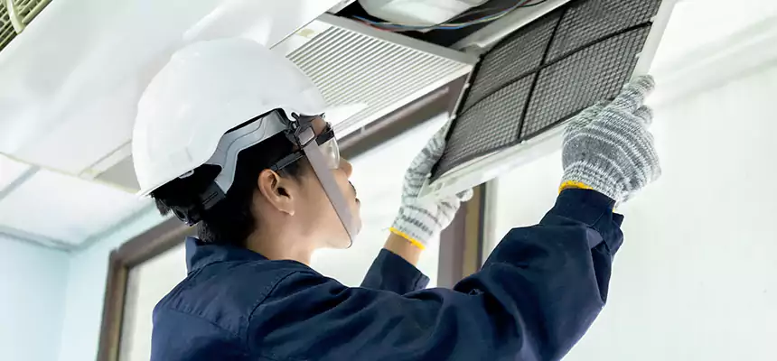 Our Mold & Mildew Removal from Air Ducts Services in Carrollton, TX