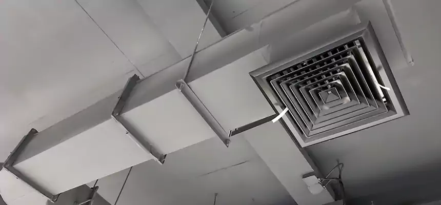 Our Pest Removal From Ducts Services in Carrollton, TX