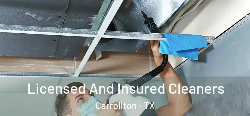 Licensed And Insured Cleaners Carrollton - TX