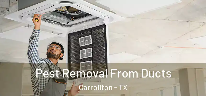 Pest Removal From Ducts Carrollton - TX