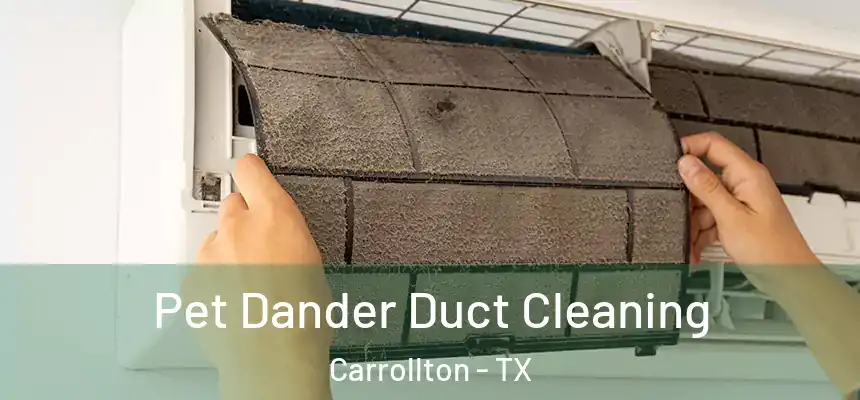 Pet Dander Duct Cleaning Carrollton - TX