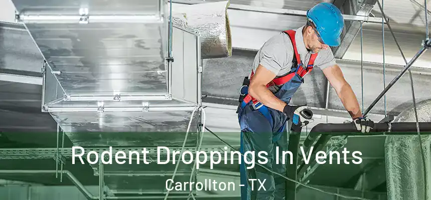 Rodent Droppings In Vents Carrollton - TX