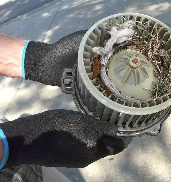 About Air Duct Rat Removal in Carrollton, TX