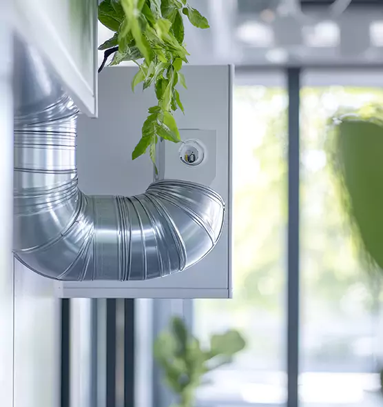 Professional Eco-Safe Dryer Vent Cleaning in Carrollton, TX