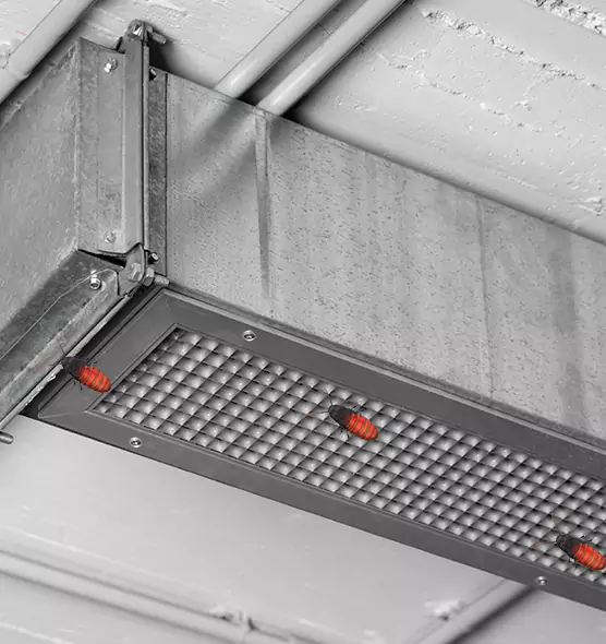 Affordable Insect Removal from Air Ducts in Carrollton, TX