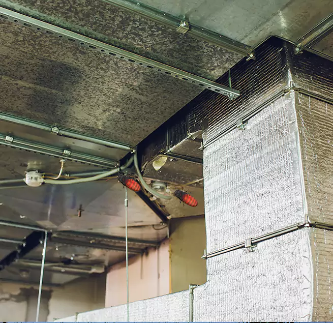 Why Homeowners & Businesses Trust Us in Carrollton, TX?