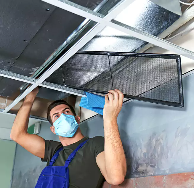 Why Homeowners Businesses Trust Us in Carrollton, TX