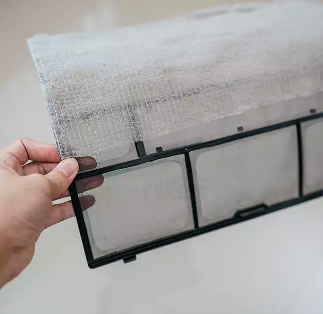 Why Homeowners & Businesses Trust Us in Carrollton, TX?